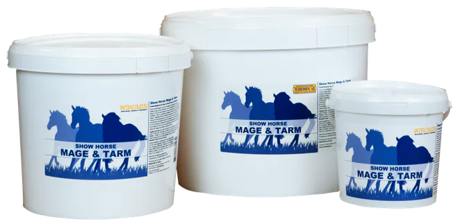 Huvudbild Show Horse Mage & Tarm