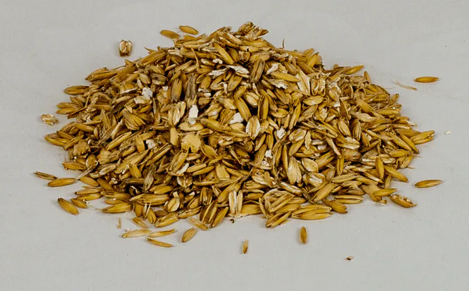 Huvudbild Krossad Havre 15 kg