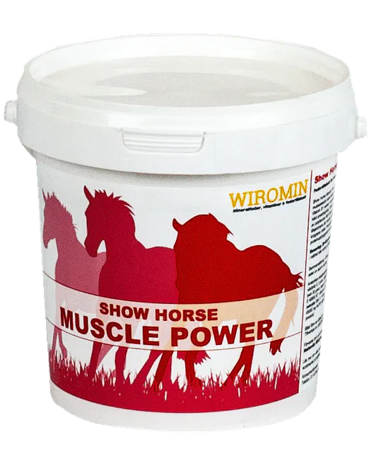 Huvudbild Show Horse Muscle Power 